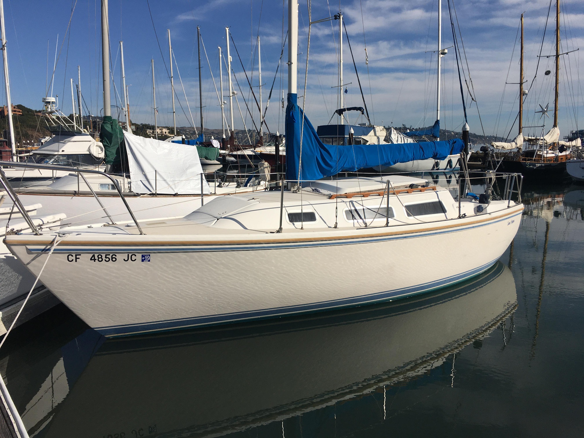 Nashville test (2020-08-17 - 2020-09-15)